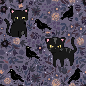 Black Cats and Ravens