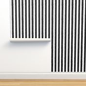 Burtons Vertical Stripes - black and white