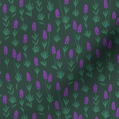 Lavender herb (dark green)