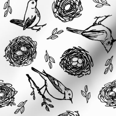 Birds & Nests in Black & White