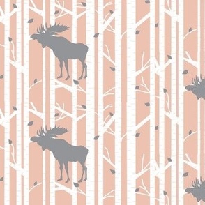 Moose in Birches 