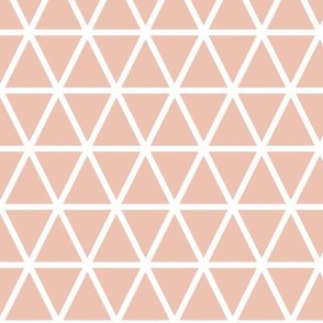 Pink Triangle Fabric, Wallpaper and Home Decor | Spoonflower