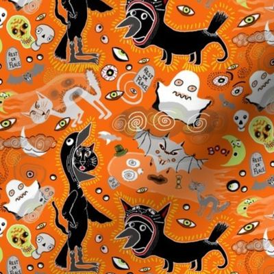 sept2016catsvsravens, Halloween costume contest, black cat vs. raven, orange 