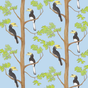 Hornbills in a tree blue background