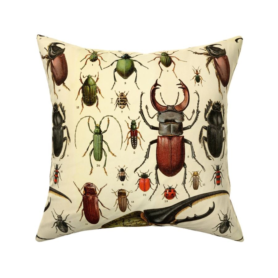 18x18 Dramabite Vintage retro scientific bug insects collection entomologist Throw Pillow Multicolor