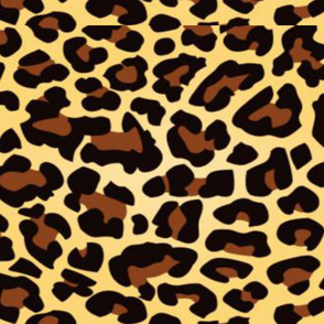 cupiecakesgumdrop's cheetah print