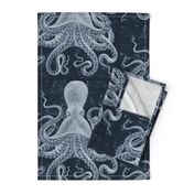 Octopus Vintage Scientific Illustration-Ernst Haeckel Style 