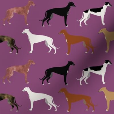 greyhounds fabric cute dog breed fabric best greyhound fabric cute rescue dog fabric