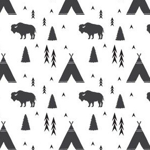 Tee Pees and Bison in Black and White