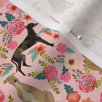 greyhound florals fabric cute brindle fabrics cute dog fabric best dogs vintage florals fabric cute dogs