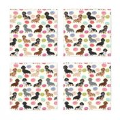 doxie dachshunds donuts cute dog fabric best dog fabric donuts dachshunds fabric doxie