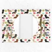 doxie dachshunds donuts cute dog fabric best dog fabric donuts dachshunds fabric doxie