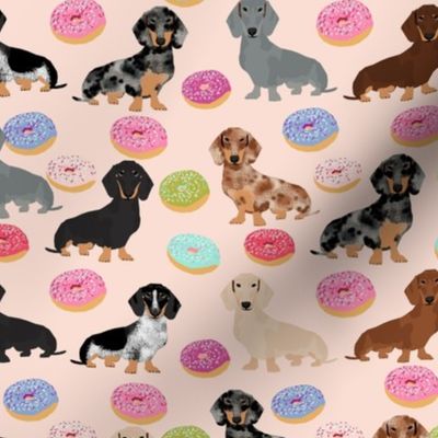 doxie dachshund dog donuts dachshunds 