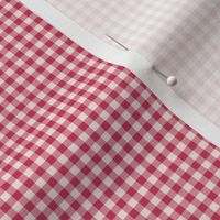 Windswept and Arabesque Gingham ~ Wee