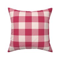 Windswept and Arabesque Gingham Flannel 