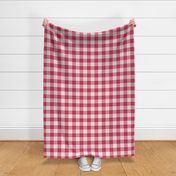 Windswept and Arabesque Gingham Flannel 