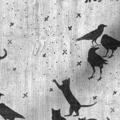 Cats 'n Crows