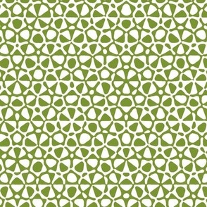 Star quasicrystal in moss green and white