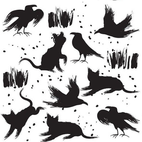 Cats and Crows