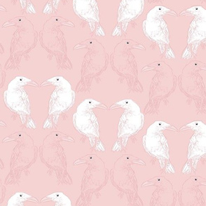 White Ravens en Rose