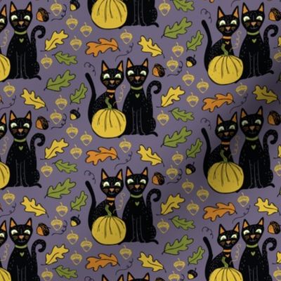Black Cats and Yellow Pumpkins