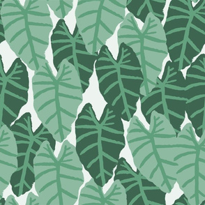 palms tropical alocasia tropical palm print summer palm springs trendy cool vibes wallpaper