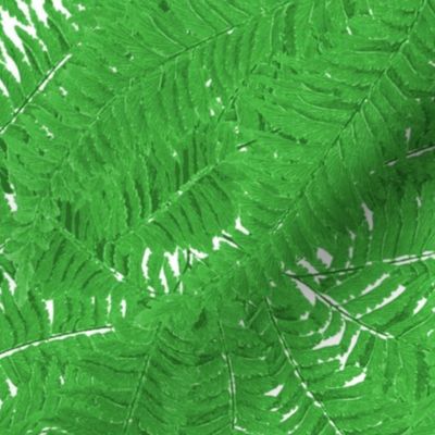 Tropical Fern ~ Jungle Green 