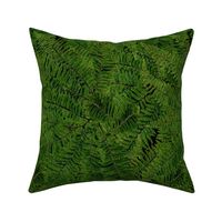 Tropical Fern ~ Black