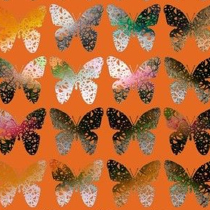 Dark stark orange butterflies on hot orange by Su_G_©SuSchaefer