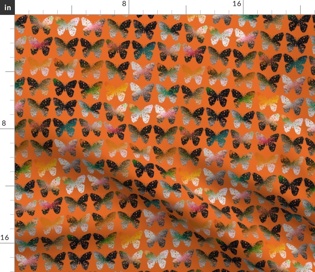 Dark stark orange butterflies on hot orange by Su_G_©SuSchaefer
