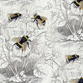Honey Bee  Walnut Wallpaper