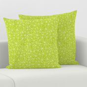 geo jane no.2 lime green