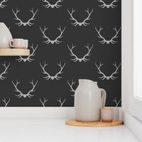 Antlers- black and grey - Buck deer