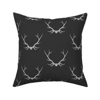 Antlers- black and grey - Buck deer
