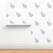 Light grey bunny