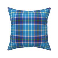 Texas bluebonnet tartan, 6" bright