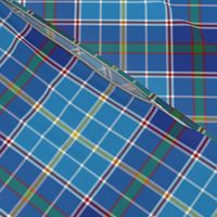 Texas bluebonnet tartan, 6" bright