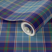 Texas bluebonnet tartan, 6" greyed