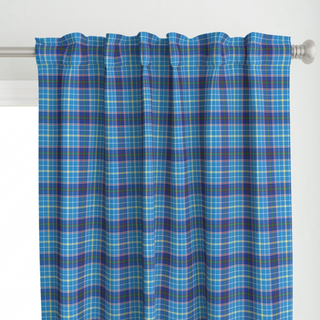 Texas bluebonnet tartan, 4" bright