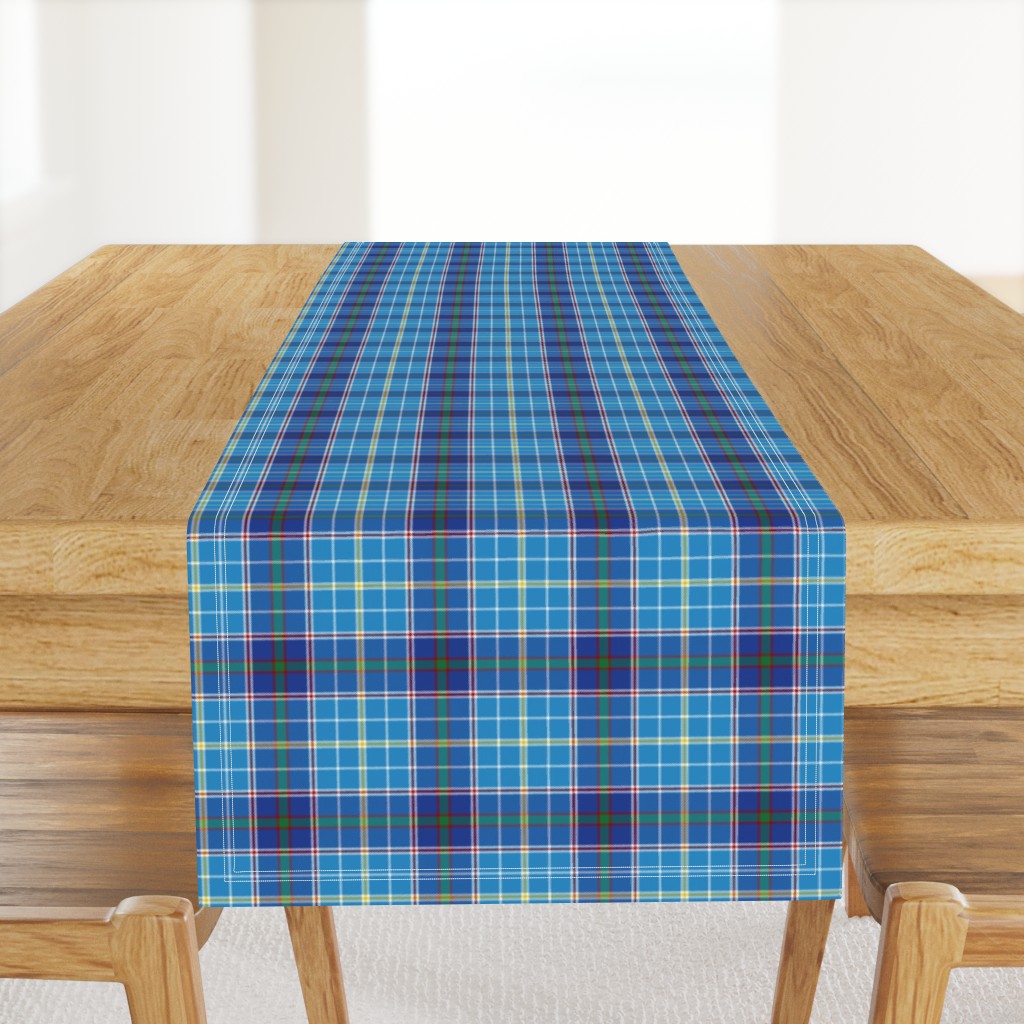 Texas bluebonnet tartan, 4" bright