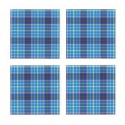 Texas bluebonnet tartan, 4" bright