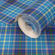 Texas bluebonnet tartan, 4" bright