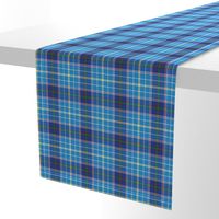 Texas bluebonnet tartan, 4" bright