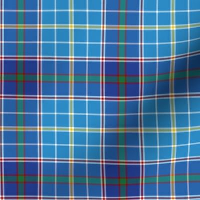 Texas bluebonnet tartan, 4" bright