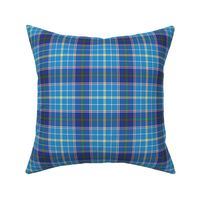 Texas bluebonnet tartan, 4" bright