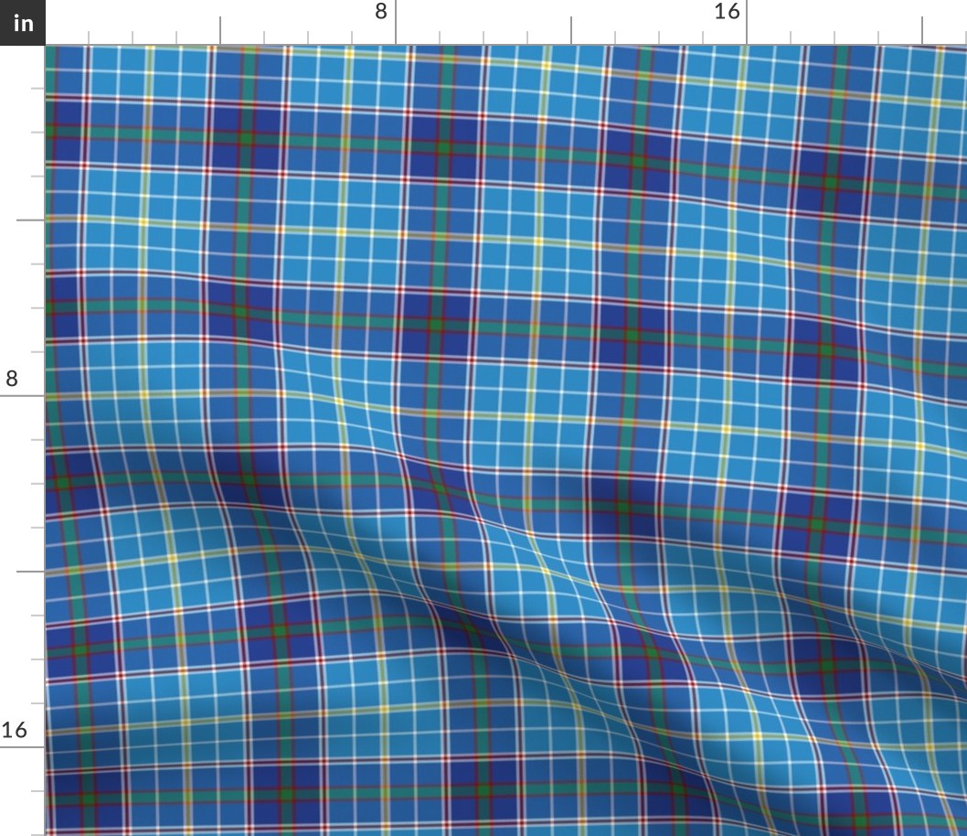 Texas bluebonnet tartan, 4" bright