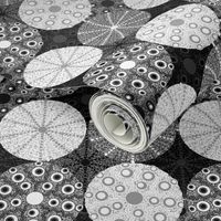 black & white Sea Urchins