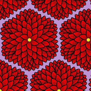 Red chrysanthemums on lavender