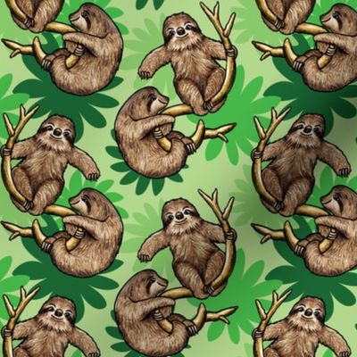 cute sloths and cecropia leaves 