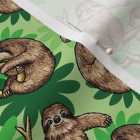 cute sloths and cecropia leaves 